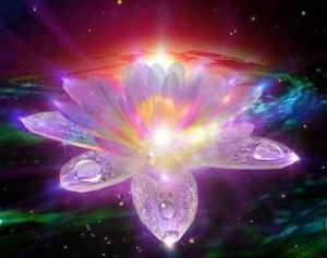 tmp_IMG_69841578674151653112064