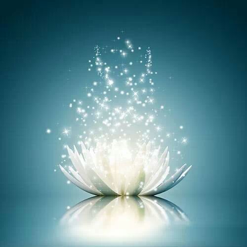 tmp_IMG_763968532105472070329777