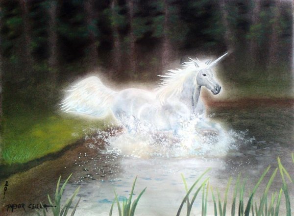 EgyszarvuKontrasztLany